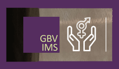 gbvims2025.gif